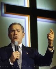 bush_with_cross1_small