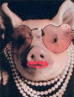 pig.jpg