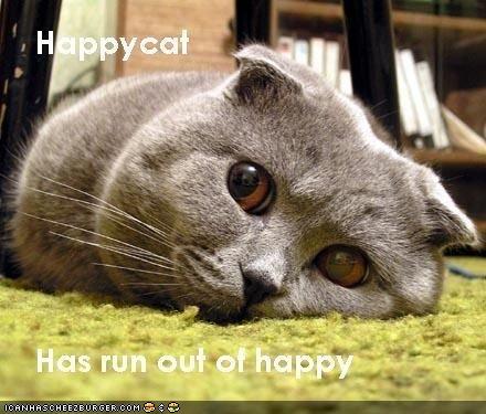 happycat-is-sad