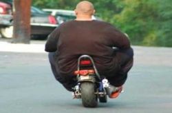 Fat-Guy-Motorcycle