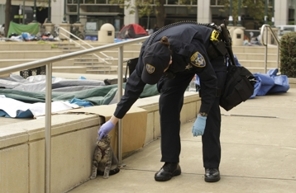 Occupy_Wall_Street_Oakland_0848e