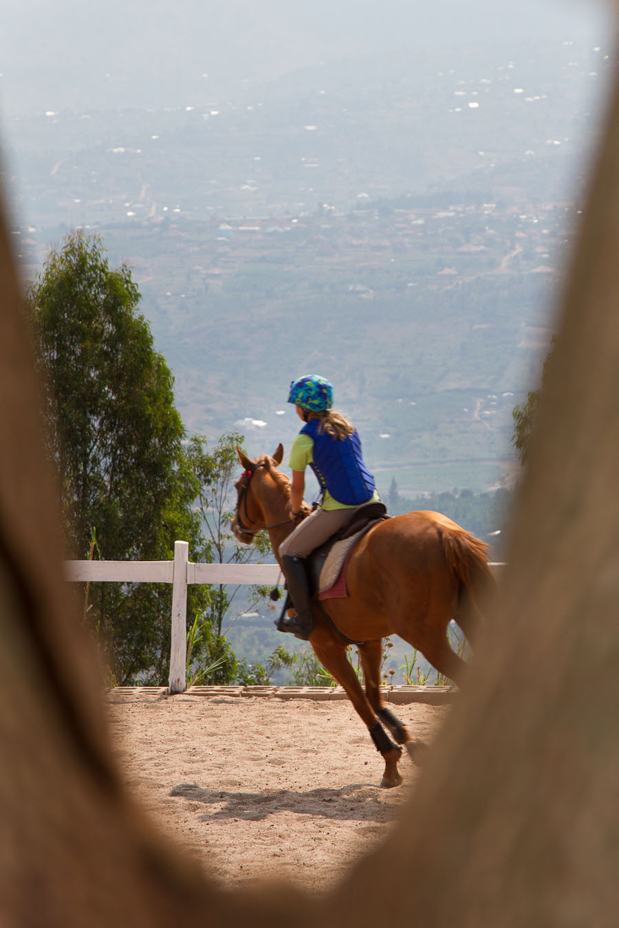 Lea on Zorro