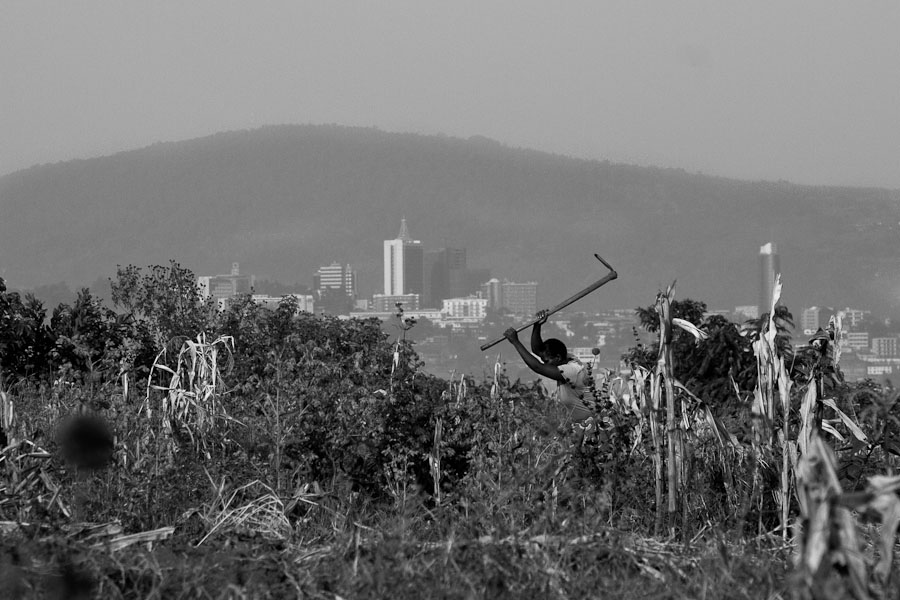 planting crops in Kigali, rwanda