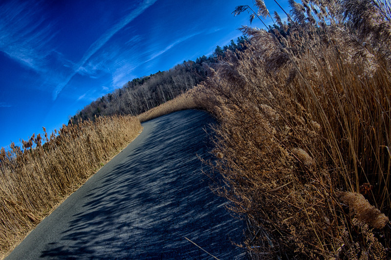 the road to walmart